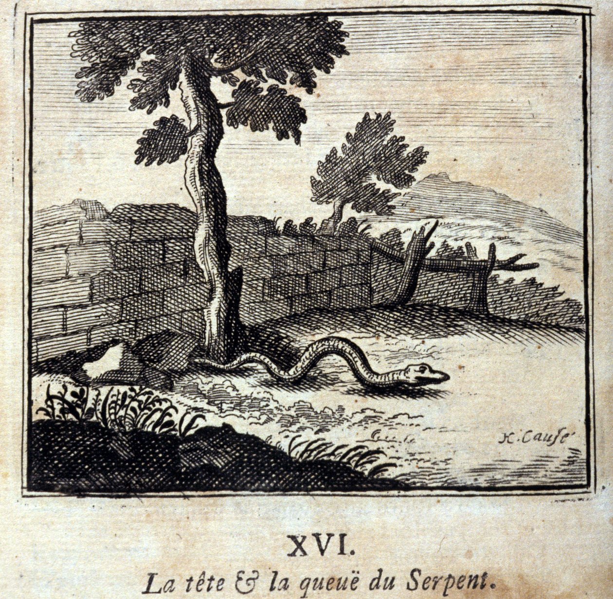 A kígyó feje és farka. Jean de La Fontaine (1621-95) meséi. Illusztráció: François Chauveau (1613-1676). 1728-as kiadás. alkotó: Francois Chauveau