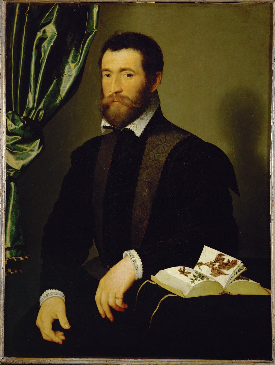 Pierre Quthe, Francois Clouet barátja, humanista és gyógyszerész ... alkotó: François Clouet