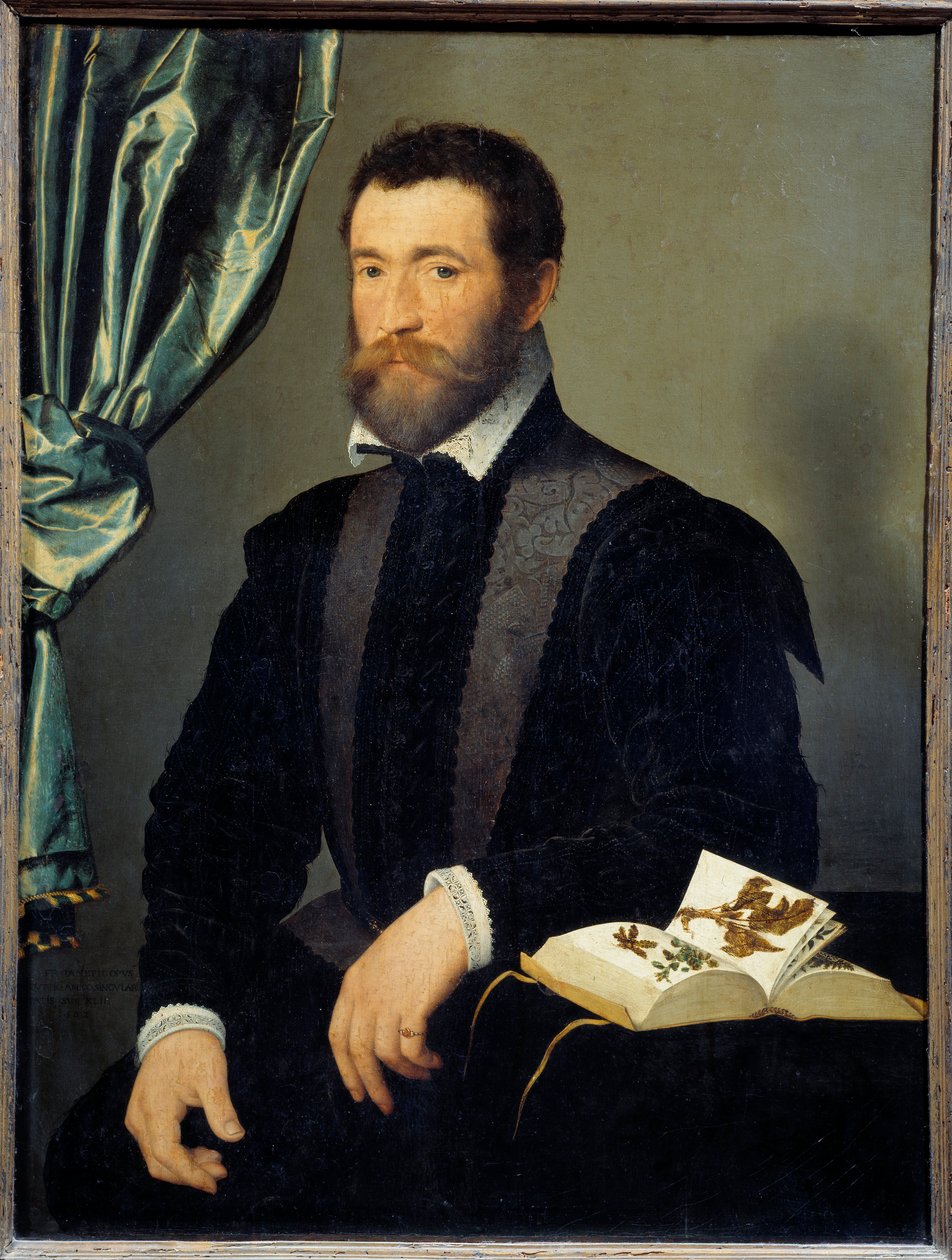 Pierre Quthe patikus portréja (1519-apres 1588) Francois Clouet (1515-1572) festménye 1562 V. 0,91x0,7 m - Pierre Quthe patikus (1519- kb. 1588) portréja. Francois Clouet (1515-1572) festménye alkotó: François Clouet