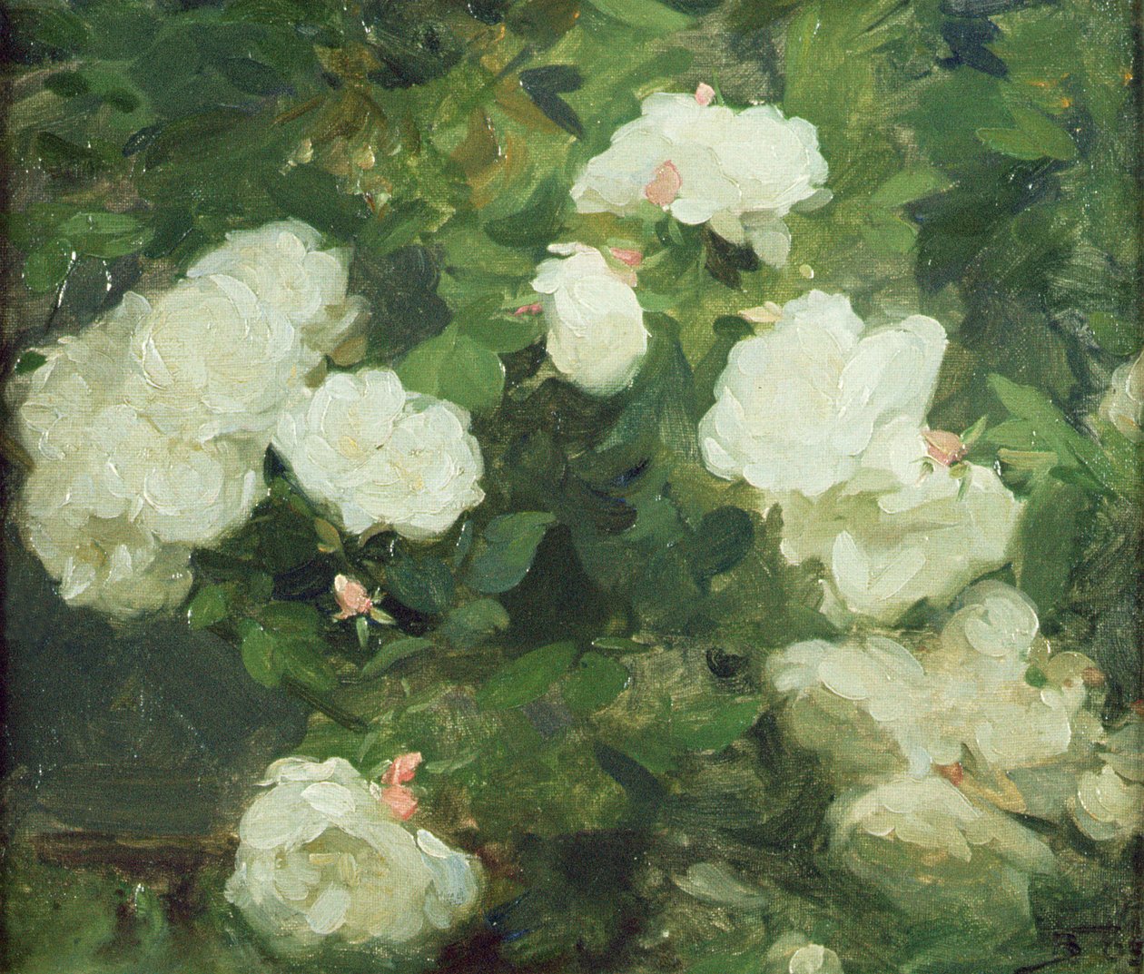 Fehér rózsák alkotó: Frank Bramley