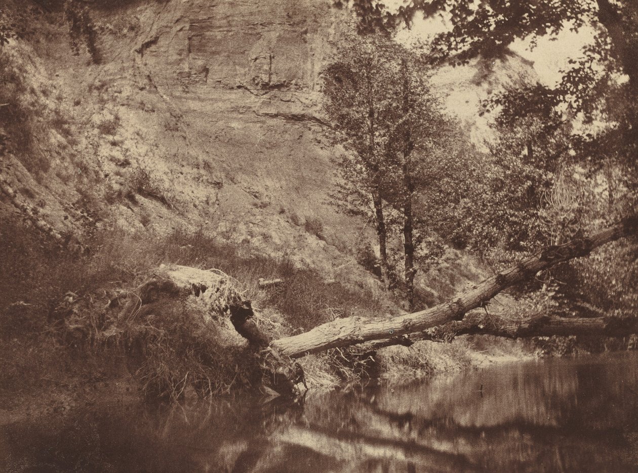 Folyópart, c. 1855. alkotó: Frank Chauvassaigne