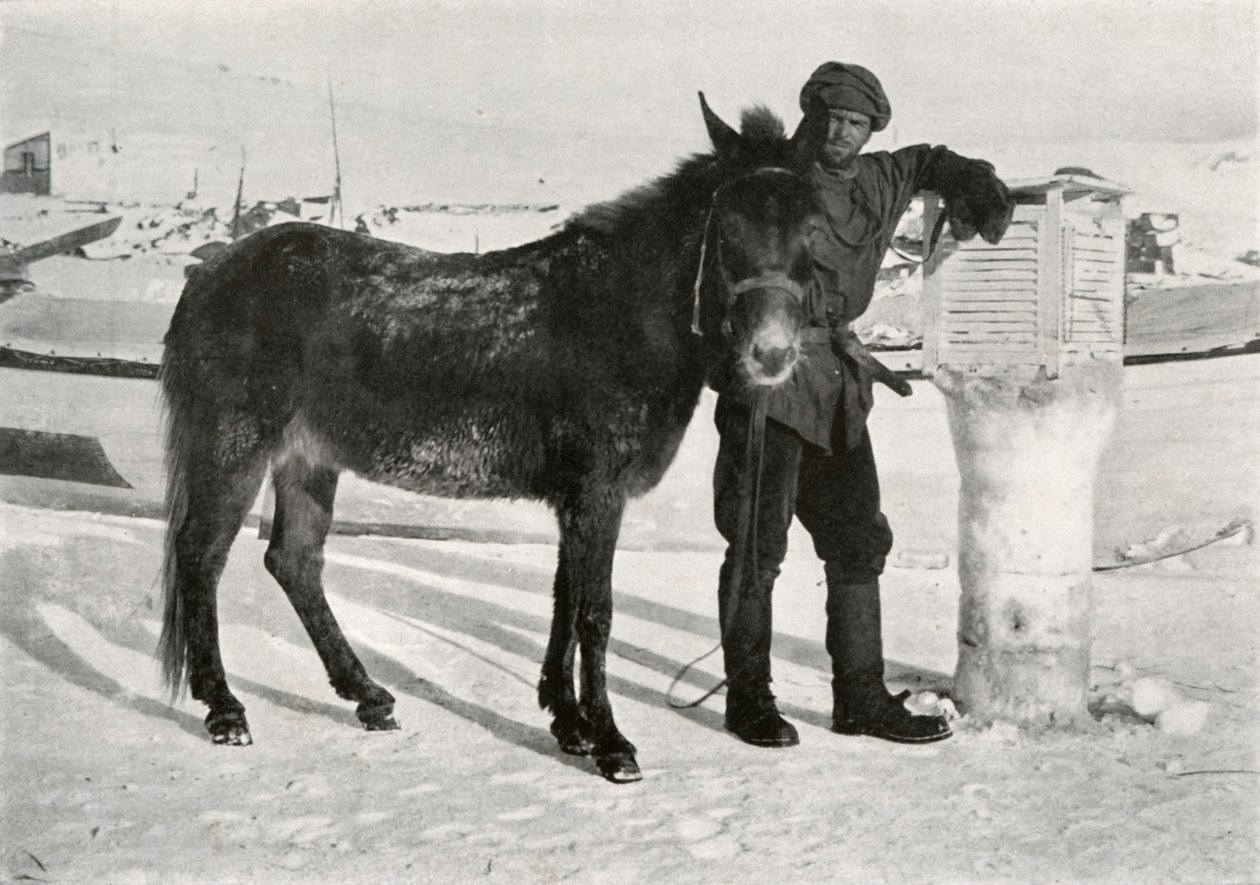 Gran öszvér Lal Khannal, c1911, 1913 alkotó: Frank Debenham