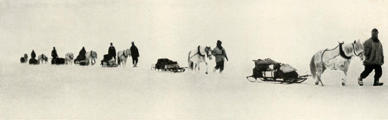 Pónik az 1911-es, 1913-as márciuson alkotó: Frank Debenham