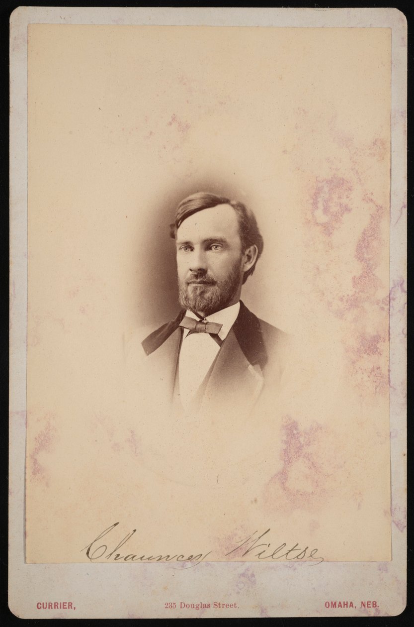Chauncey Wiltse portréja 1834-1894, 1875-1876. alkotó: Frank F Currier