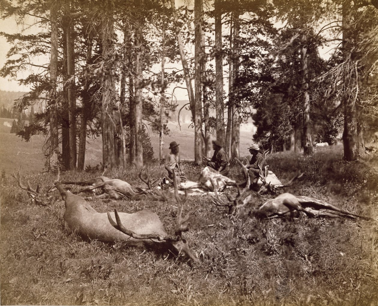 Elk Hunters, Yellowstone, 1880 körül (albumin ezüst nyomat) alkotó: Frank Jay Haynes