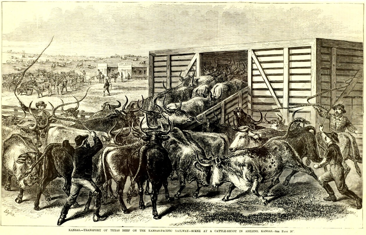 Szarvasmarha csúszda, Abilene, Kansas, kb. 1871 (metszet) alkotó: Frank Leslie