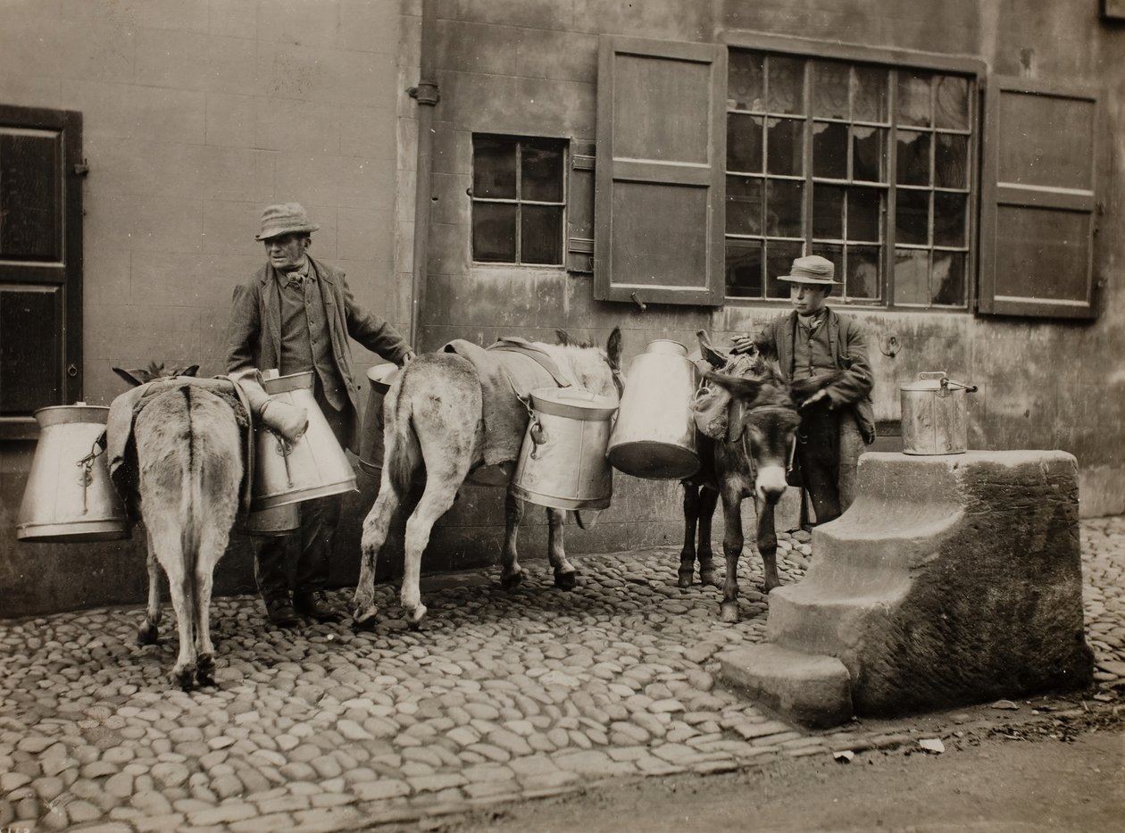 Tejszamarak, c. 1890. alkotó: Frank Meadow Sutcliffe