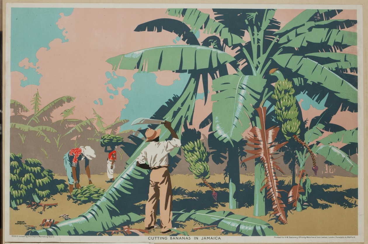 Banán vágás Jamaicában (színes litho) alkotó: Frank Newbould