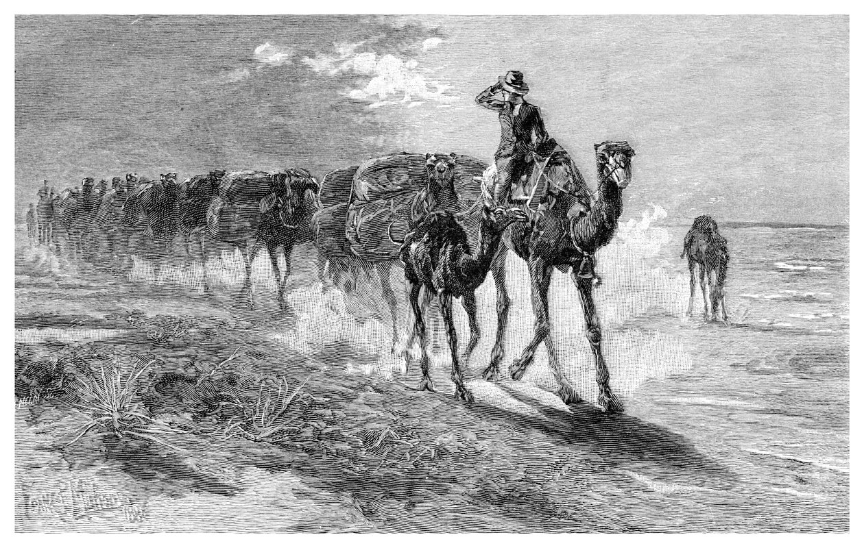 Gyapjút hordozó tevék, 1886. alkotó: Frank P. Mahony