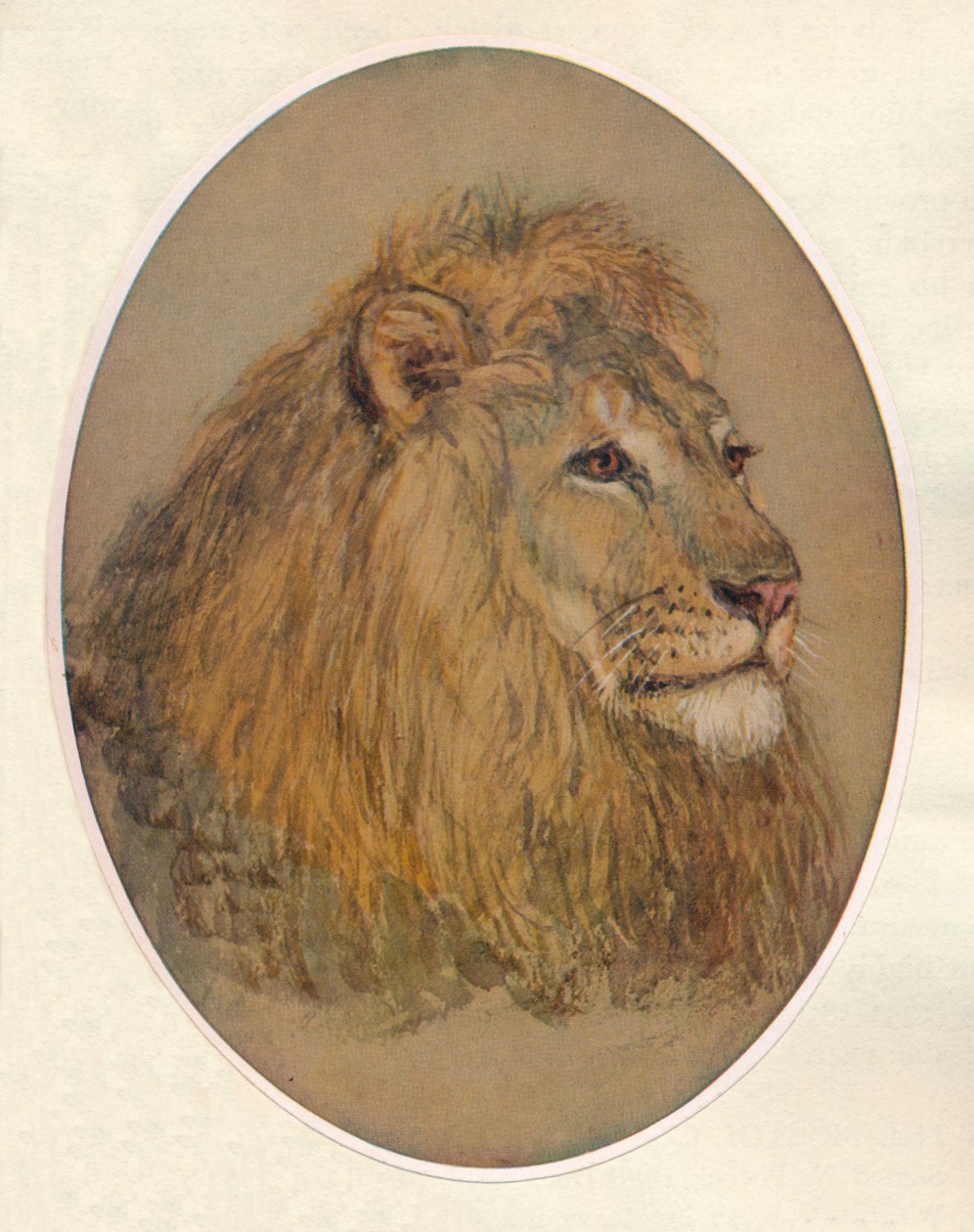 Oroszlánfej, c1896 alkotó: Frank Paton