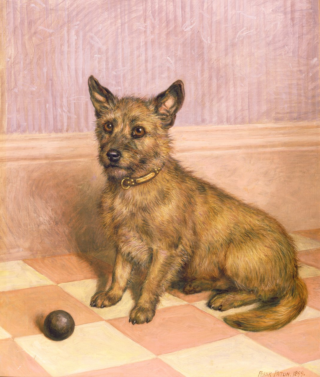 Játékra várva, Cairn terrier labdával (olaj) alkotó: Frank Paton