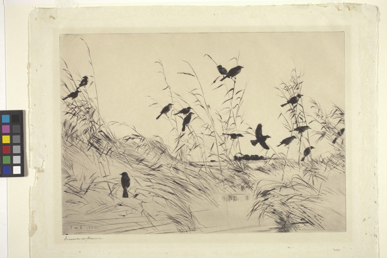 Blackbirds and Rushes (tinta papíron) alkotó: Frank Weston Benson