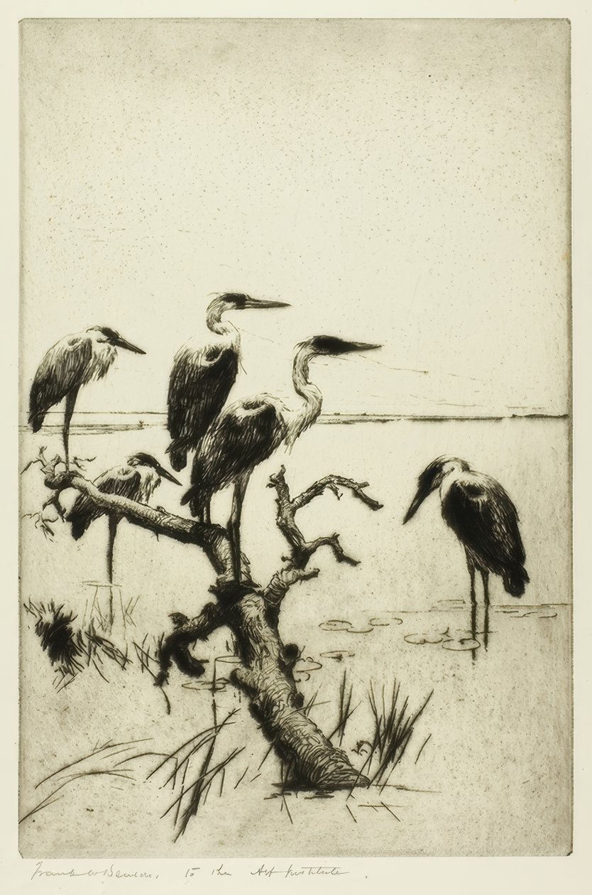 pihenő gémek alkotó: Frank Weston Benson