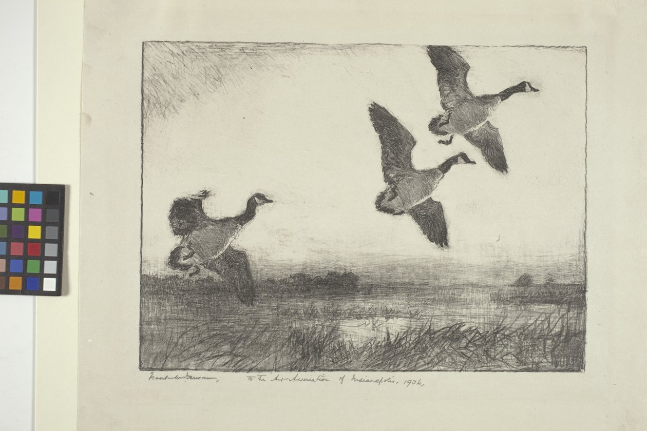 Három liba (tinta papíron) alkotó: Frank Weston Benson
