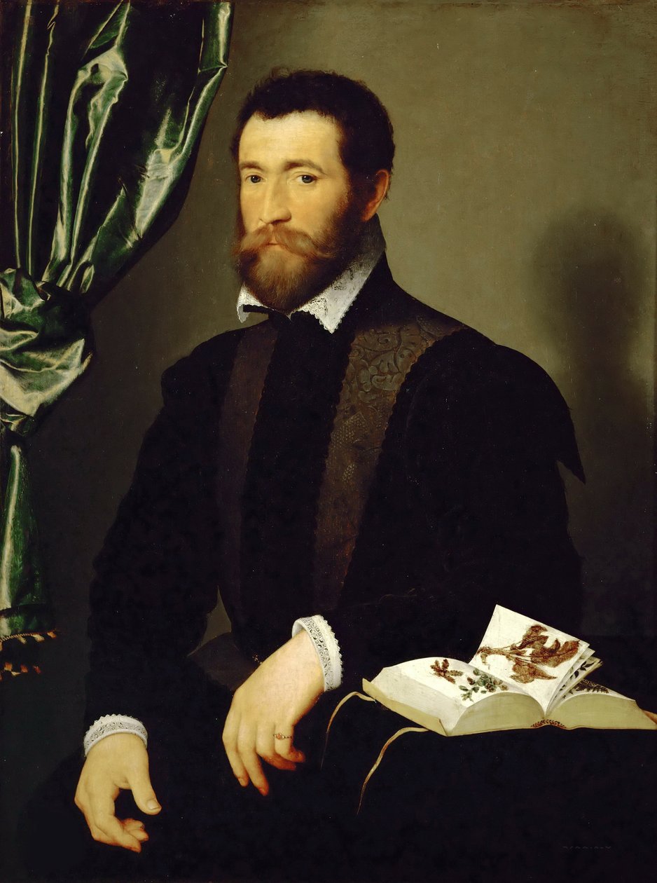 Pierre Quthe portréja, patikus, 1562. alkotó: François Clouet