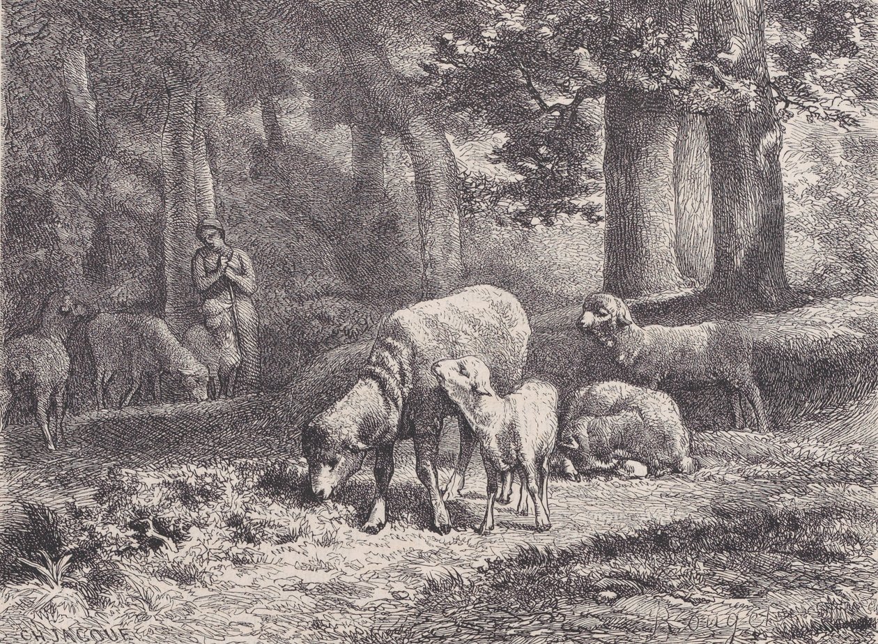 A bárány, a Magasin Pittoresque-ből, 1862. alkotó: François Rouget