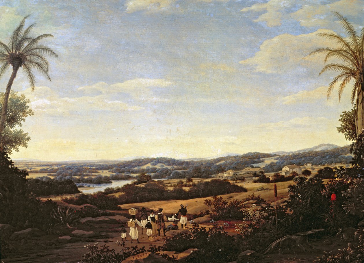 Brazil táj egy ültetvény alkotó: Frans Post