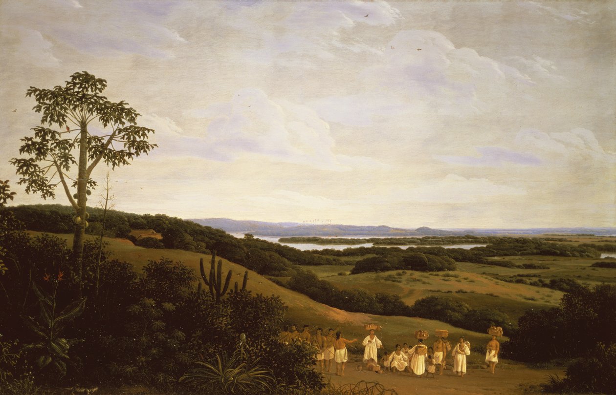 Panorámás kilátás Brazíliában egy folyóval a távolban (61465-ös pár) alkotó: Frans Post