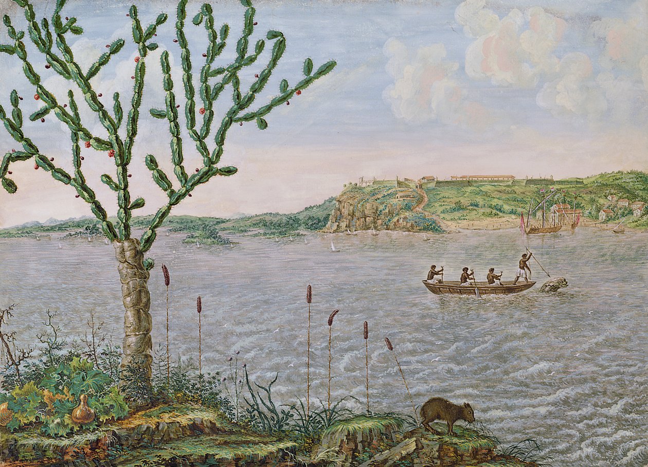 Fort Maurice látképe a Rio San Francisco folyón (toll és tinta, wc, papír) alkotó: Frans Post