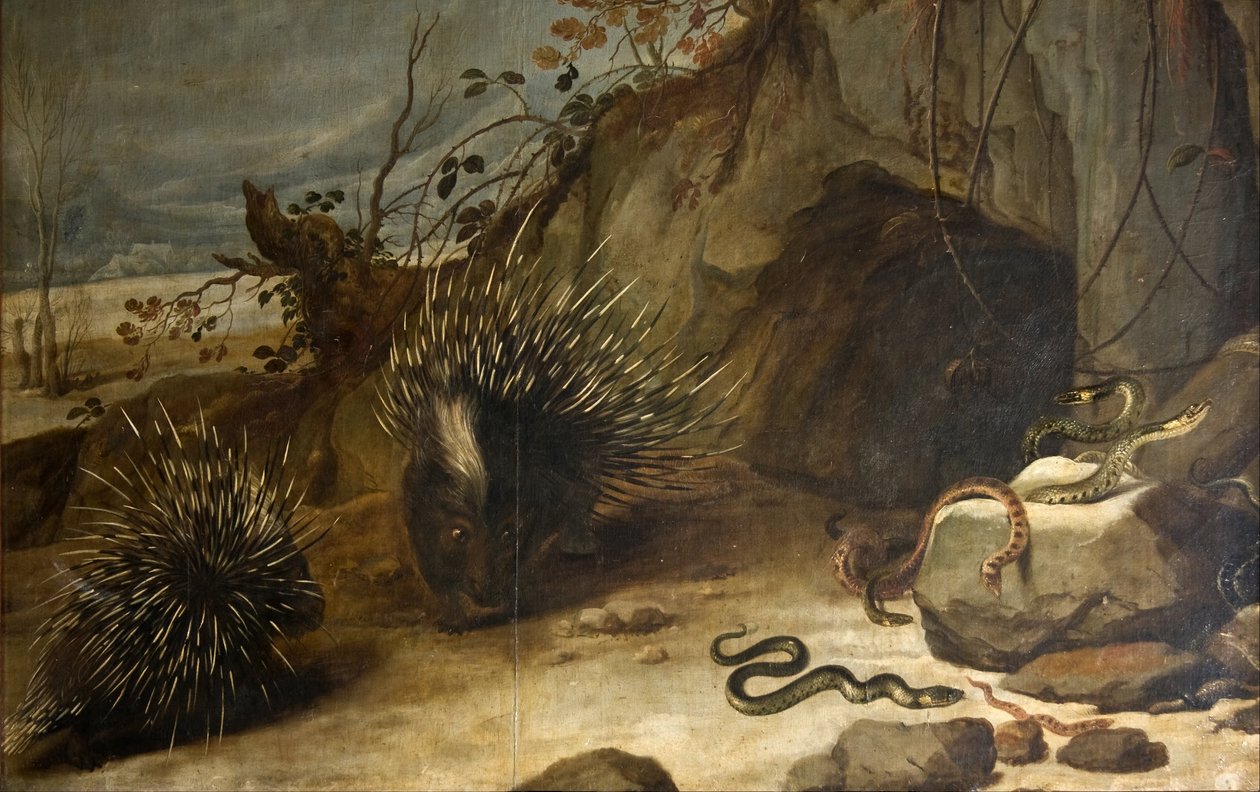 Sárkányok és viperák alkotó: Frans Snyders or Snijders