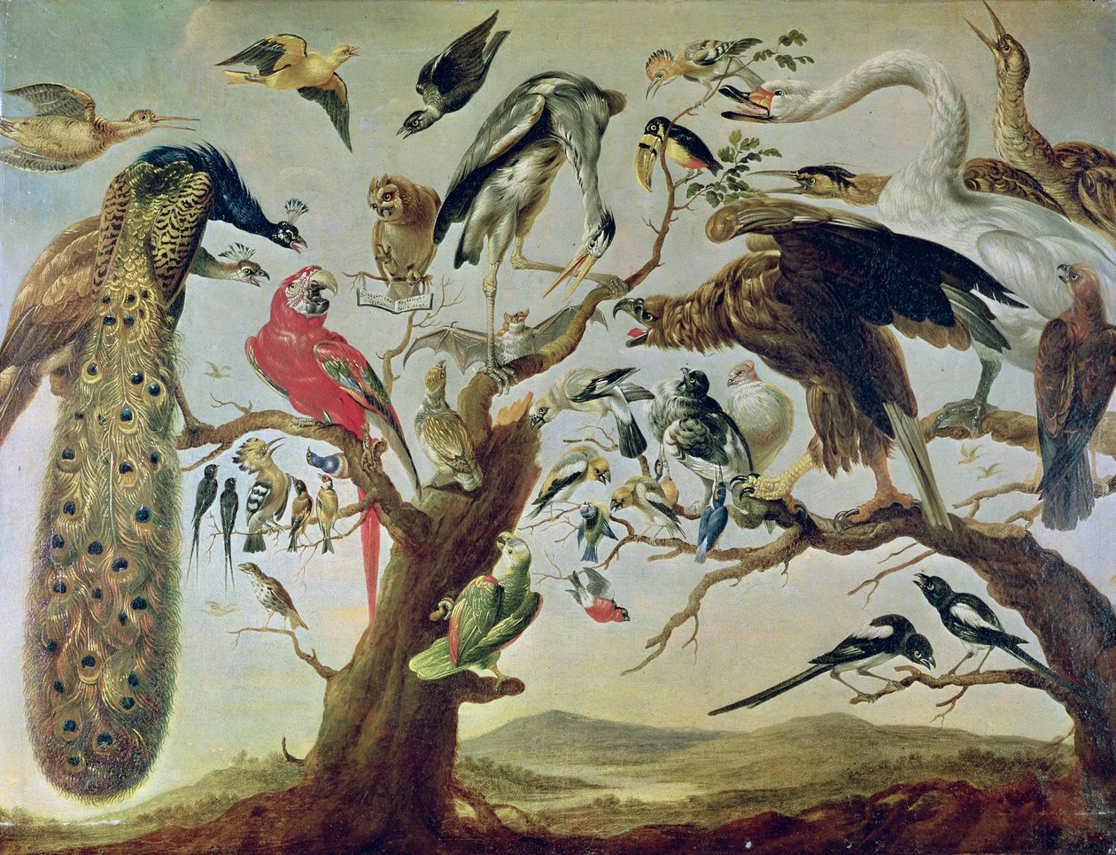 A Madárkoncert alkotó: Frans Snyders or Snijders