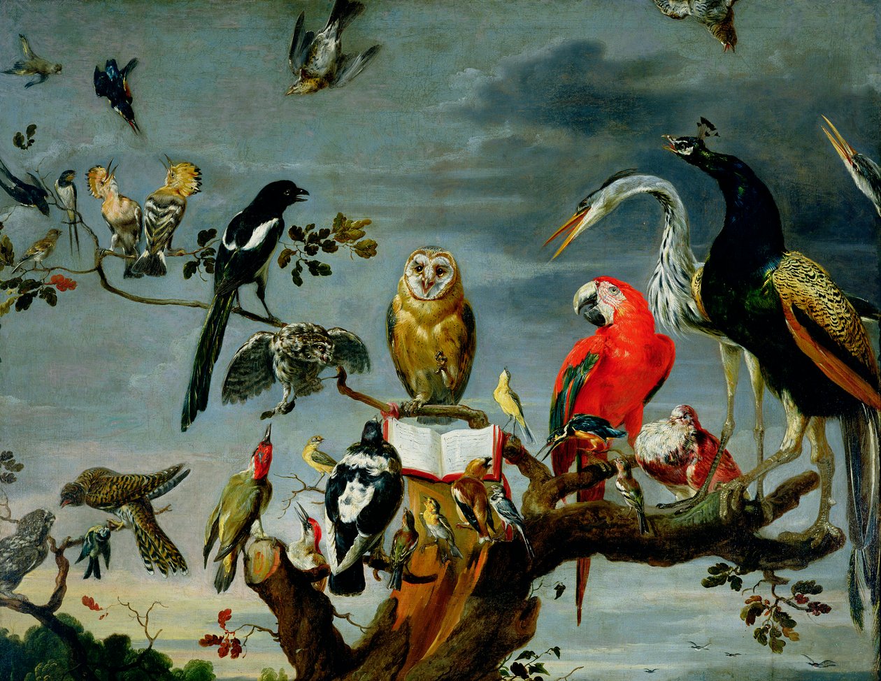 Madarak koncertje alkotó: Frans Snyders or Snijders