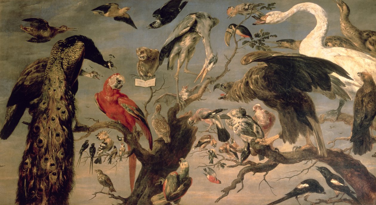 A Madárkoncert alkotó: Frans Snyders or Snijders
