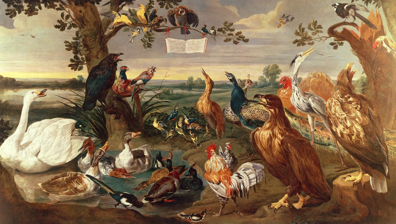 Különféle madarak alkotó: Frans Snyders or Snijders