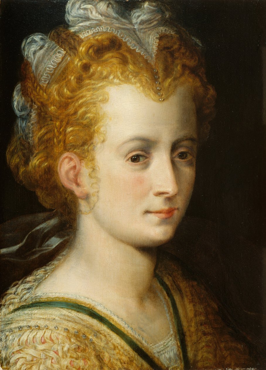 Egy fiatal nő feje, 1555 körül alkotó: Frans Floris