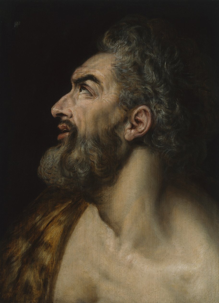 Egy szakállas férfi tanulmányi feje, 1565 körül (olaj, panel) alkotó: Frans Floris