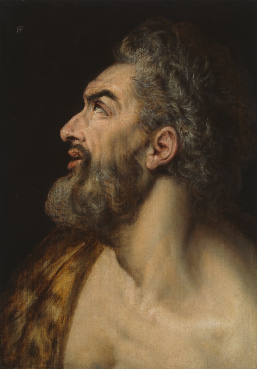 Tanulmány Fej egy szakállas férfi alkotó: Frans Floris I