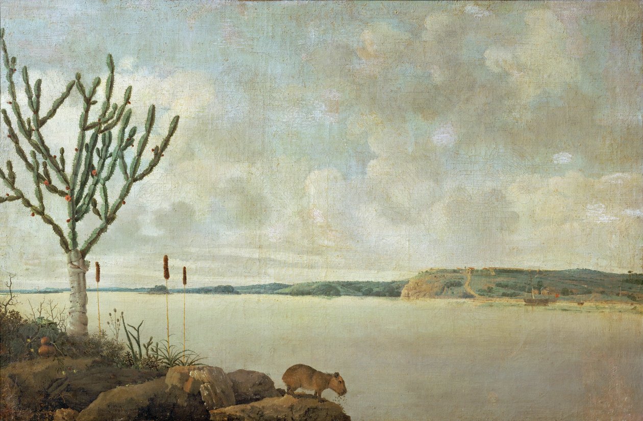 Le Rio Sao Francisco és a Fort Maurice, Brazília ... alkotó: Frans Jansz Post