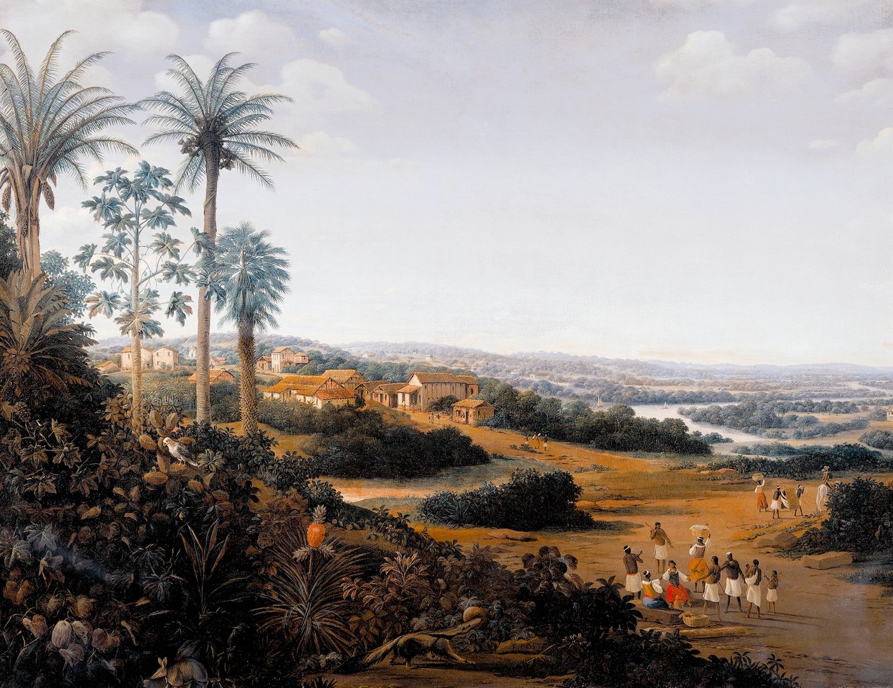 Serinhaem falu Brazíliában vagy egy cukornádültető otthona Brazíliában (olaj, vászon) alkotó: Frans Post