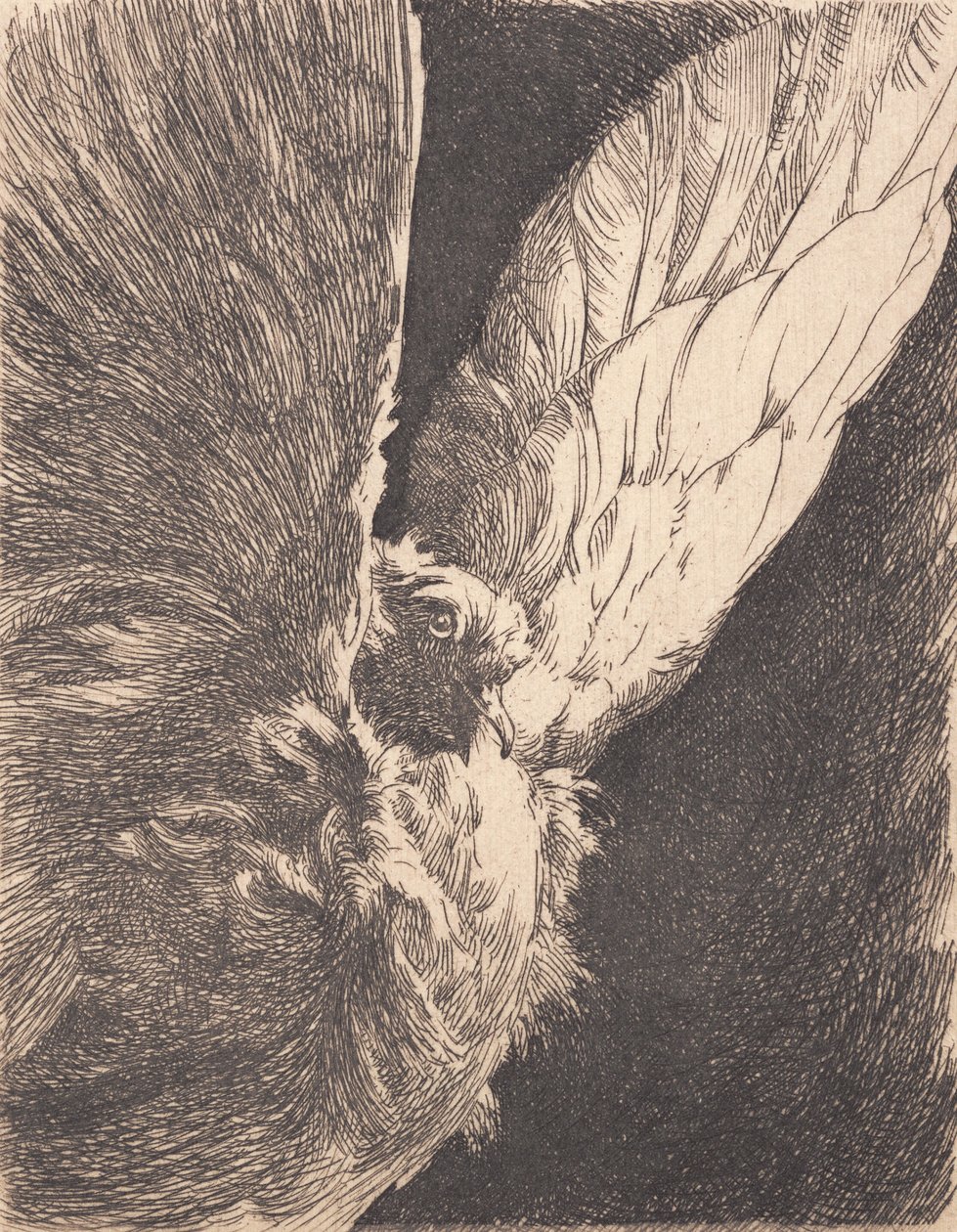 esedékes alkotó: Frans Schwartz