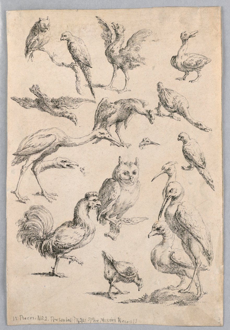 Madárválaszték a "Különböző állattanulmányok gyűjteményéből..." alkotó: Frans Snyders