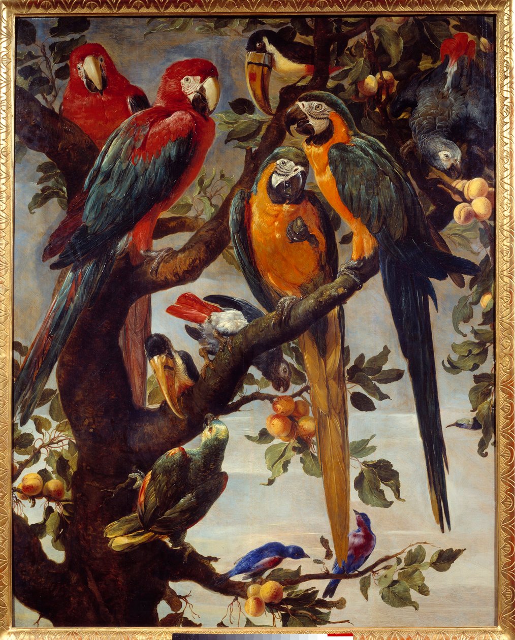 Papagájok és más madarak Frans Snyders festménye (1579-1657) 17. század V. 1,22x0,98 m Grenoble, Musee des Beaux Arts alkotó: Frans Snyders
