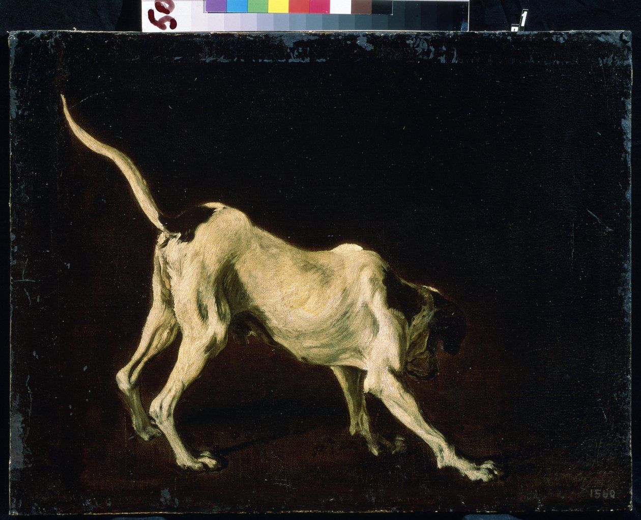 Kutya (Egy kutya). Frans Snyders (1579-1657) festménye. Olajfestmény alkotó: Frans Snyders or Snijders