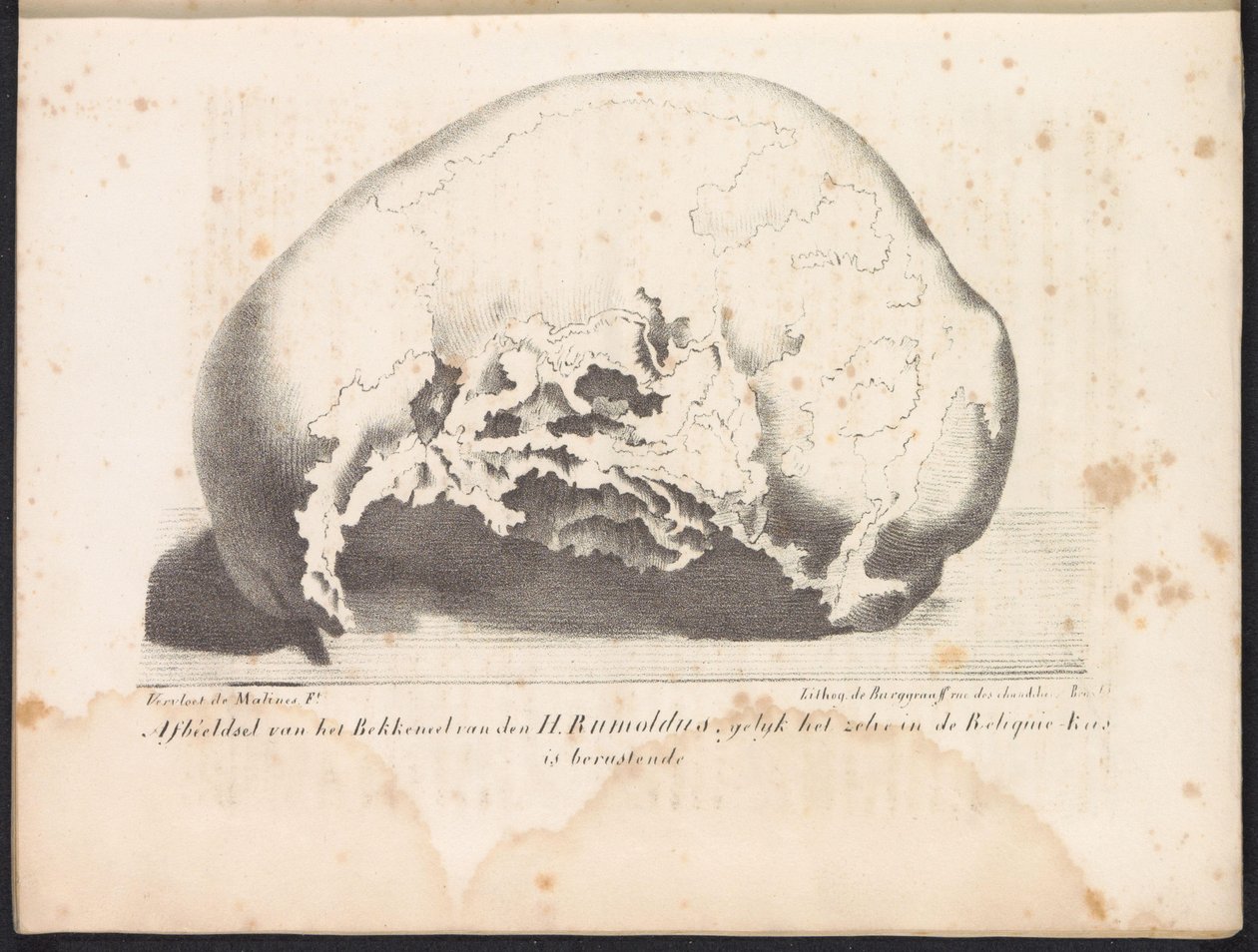 Szent Rombout koponyája, 1825 Bekkeneel van den H. Rumoldus képe a Reliquie-Kas-ban (cím a tárgyon) alkotó: Frans Vervloet
