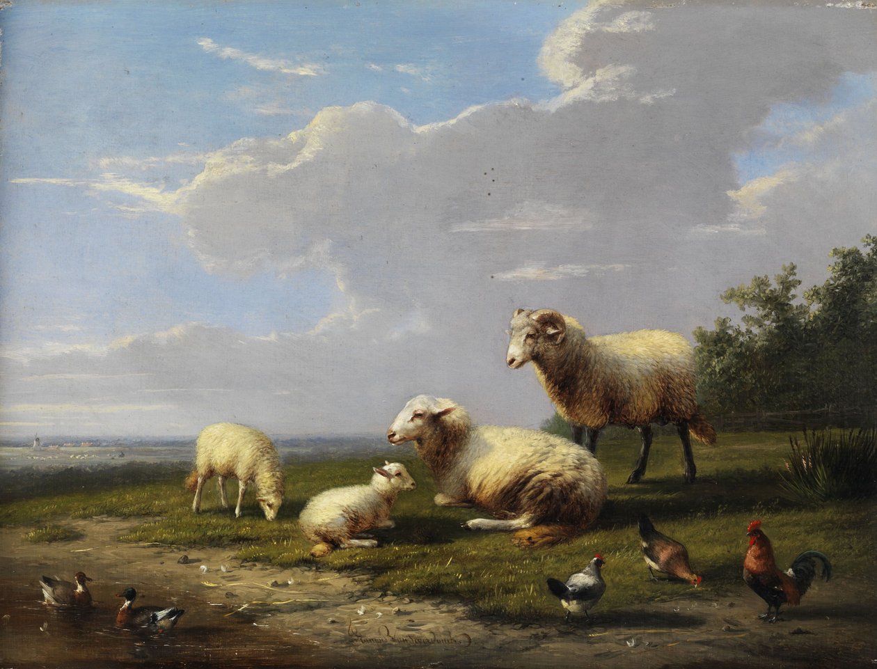 Széles tavaszi táj juhokkal, csirkékkel és kacsákkal alkotó: Franz van Severdonck