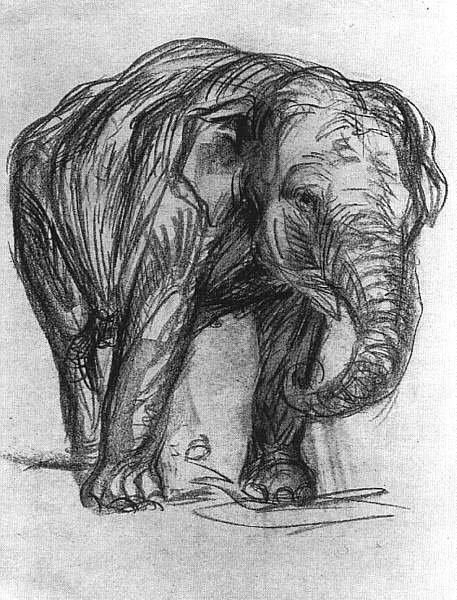 Elefánt alkotó: Franz Marc
