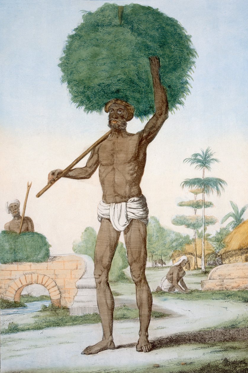 Füvet nyíró hindu szolga, „A hinduk, avagy viselkedésük, jelmezeik és szertartásaik leírása”, 1808–1812 (színes rézkarc) alkotó: Franz Balthazar Solvyns