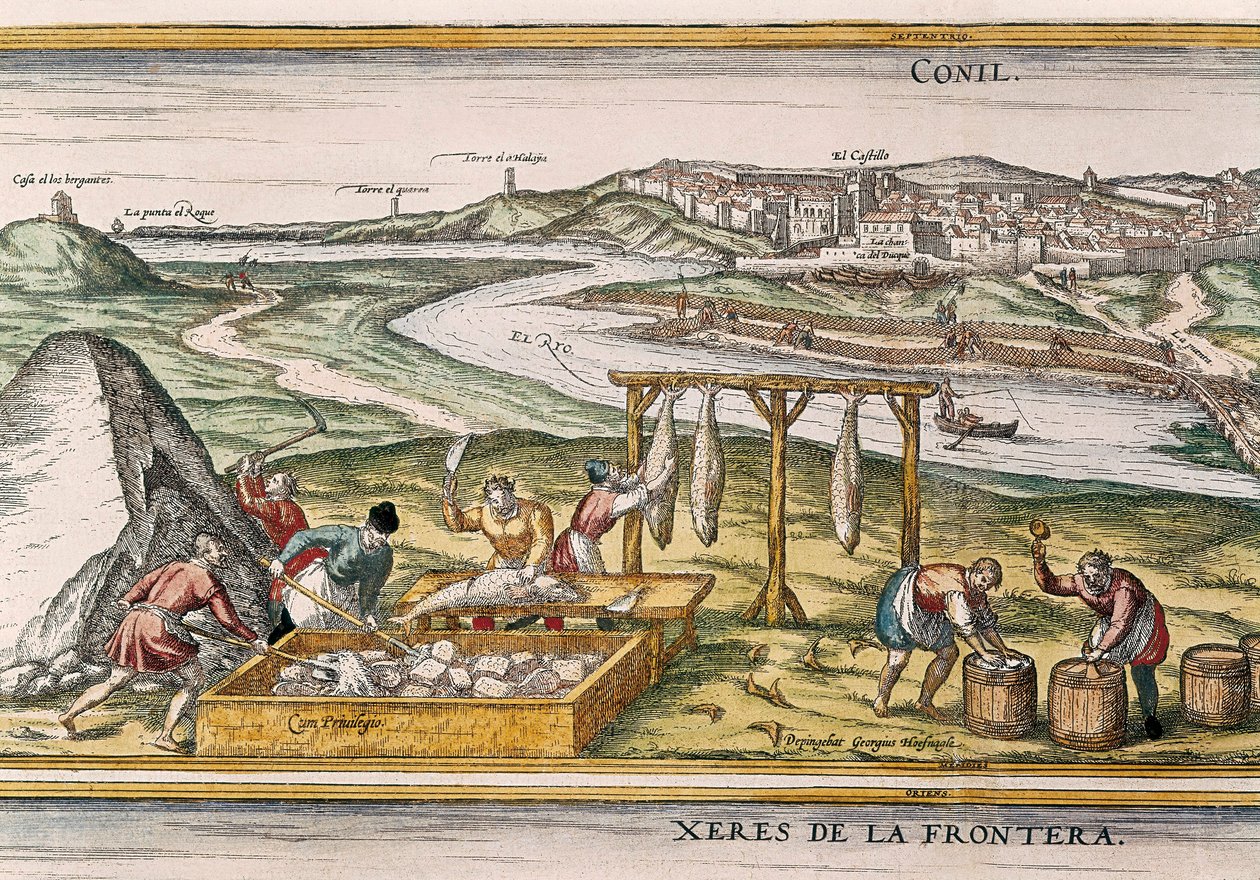 Conil de la Frontera, a halászok megszárítják a halat, felvágják, eladják és hordókba csomagolják eladásra, a "Civitatis Orbis Terrarum"-tól alkotó: Franz Hogenberg