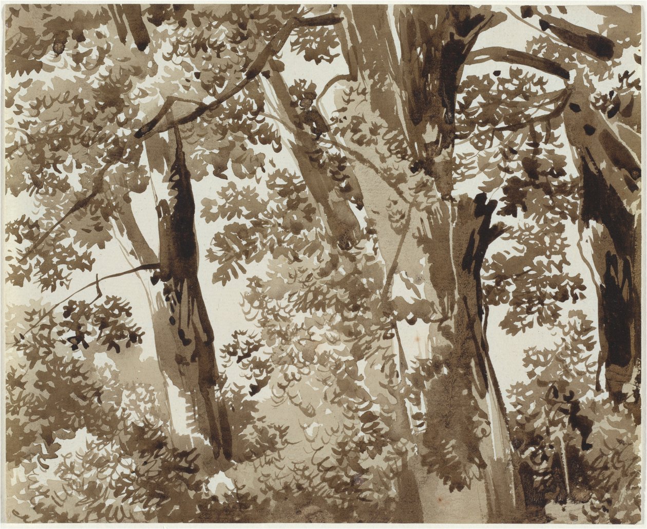 Sűrű aljnövényzetű fák alkotó: Franz Innocenz Josef Kobell