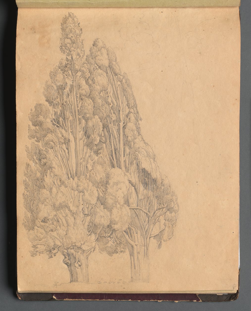 Album Róma és környéke kilátással, Tájtanulmányok, 13a. oldal: Fák alkotó: Franz Johann Heinrich Nadorp