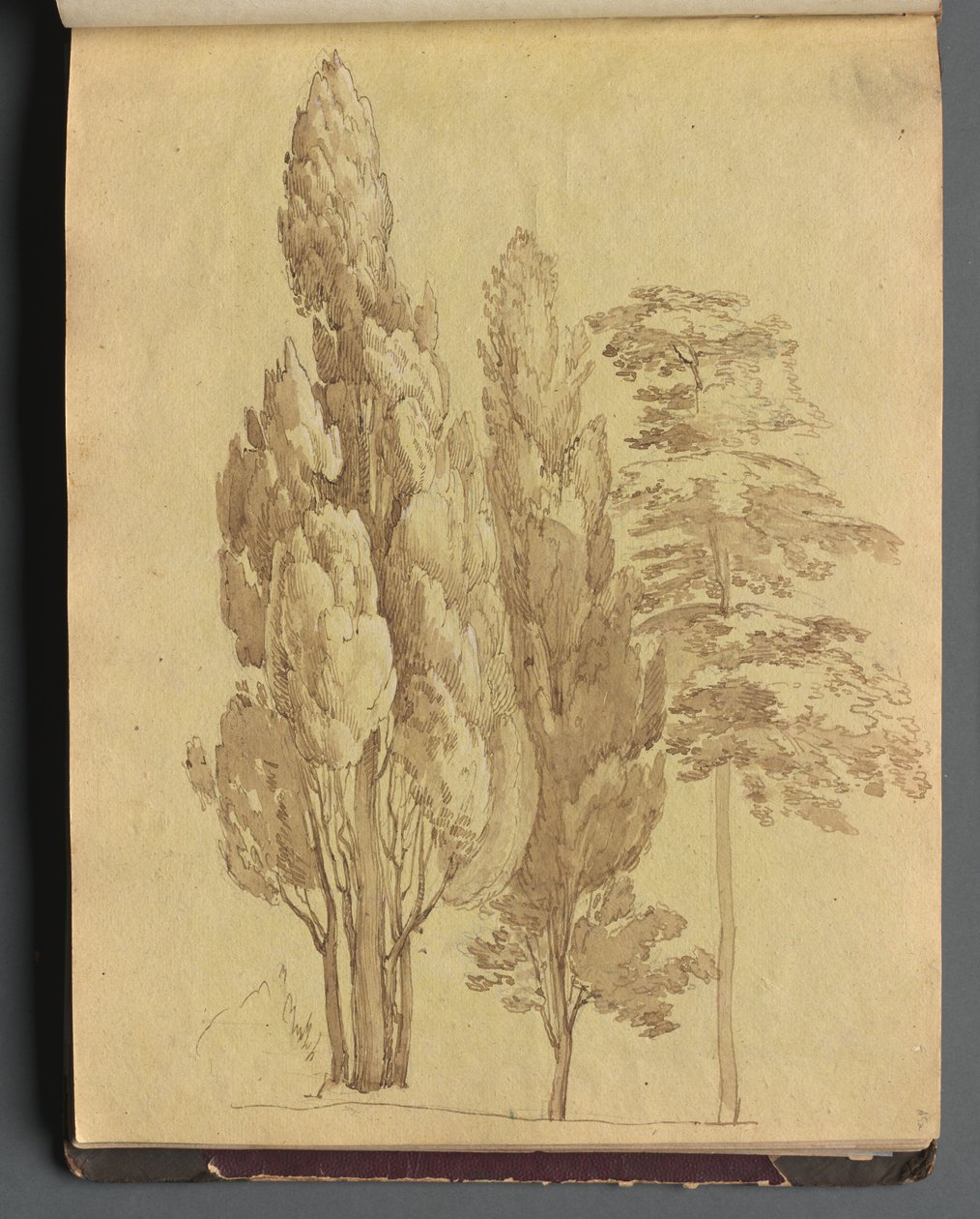Album Róma és környéke kilátással, Tájtanulmányok, 15a. oldal: Fák. alkotó: Franz Johann Heinrich Nadorp