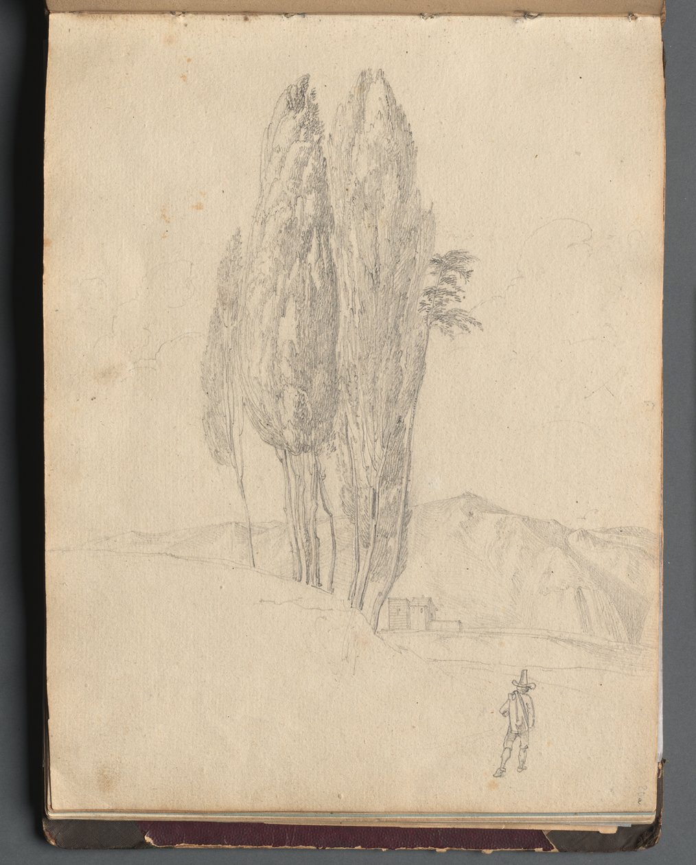 Album Róma és környéke kilátással, Tájtanulmányok, 20a oldal: Fák alkotó: Franz Johann Heinrich Nadorp