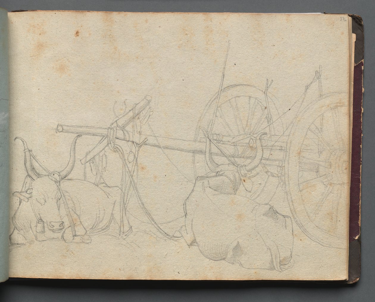 Album Róma és környéke kilátásaival, Tájtanulmányok, 37a. oldal: Ökör és kocsi. alkotó: Franz Johann Heinrich Nadorp