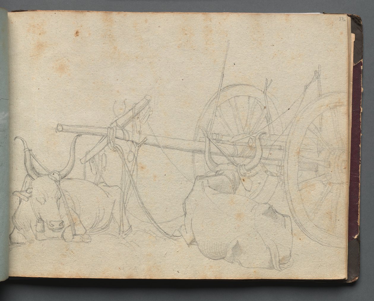 Album Róma és környéke kilátással, Tájtanulmányok, 37a. oldal: Ökör és kocsi alkotó: Franz Johann Heinrich Nadorp