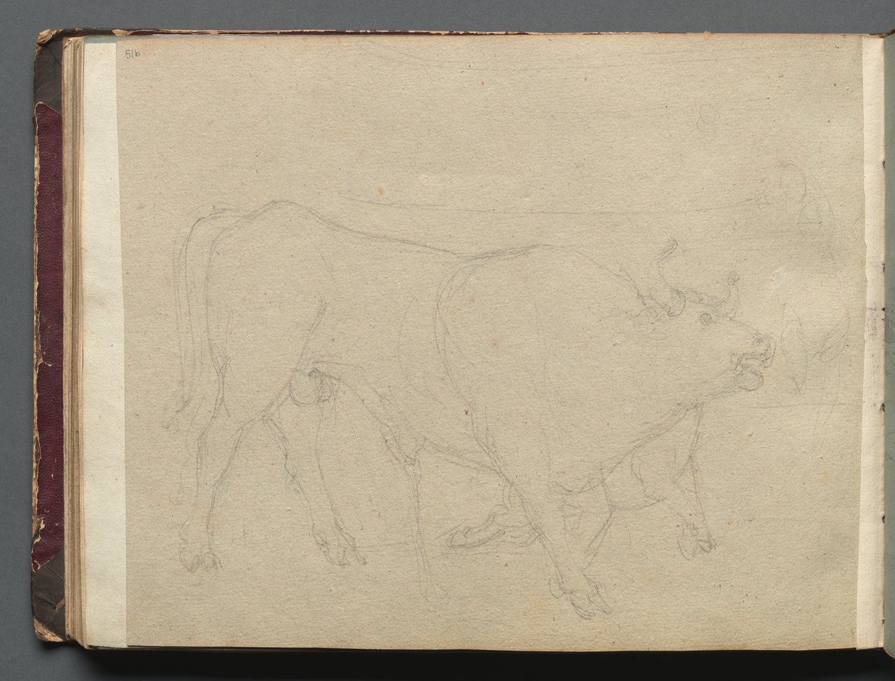 Album Róma és környéke kilátással, Tájtanulmányok, 51b. oldal: Tanulmány egy bikáról alkotó: Franz Johann Heinrich Nadorp