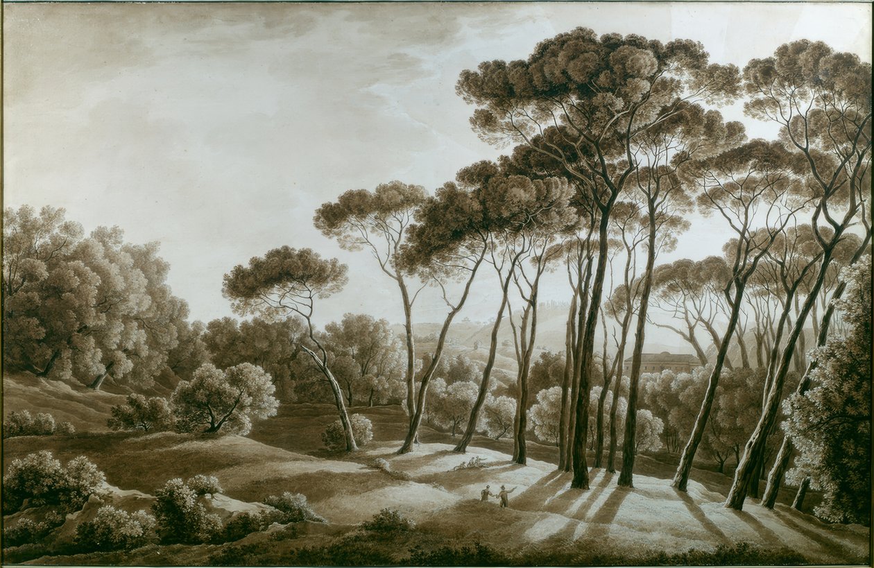 A Villa Doria Pamphili fenyőfái alkotó: Franz Kaisermann